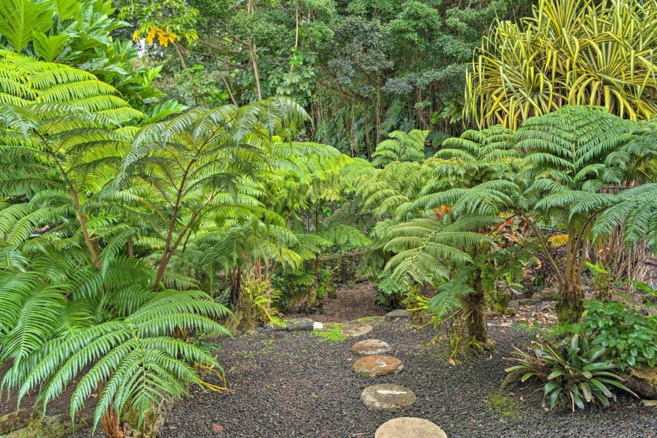 Hilo Oasis - 32 Mi To Volcanoes National Park! Exterior foto